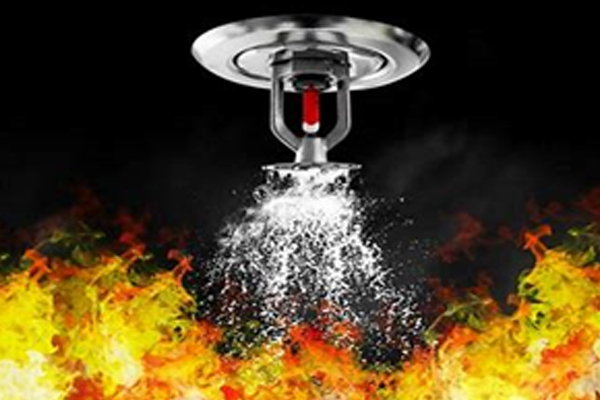 About Aesthetic Enterprises