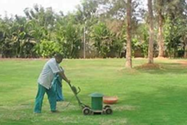 About Aesthetic Enterprises